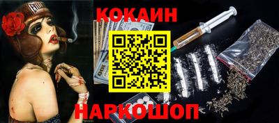 спайс Кингисепп