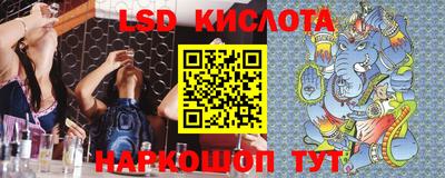 спайс Кингисепп