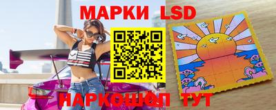спайс Кингисепп