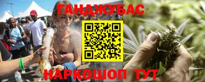спайс Кингисепп
