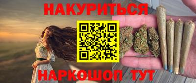 спайс Кингисепп