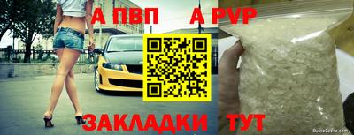 спайс Кингисепп