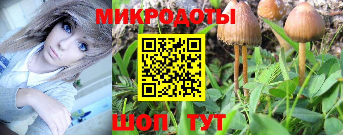 Галлюциногенные грибы мицелий Красноуфимск